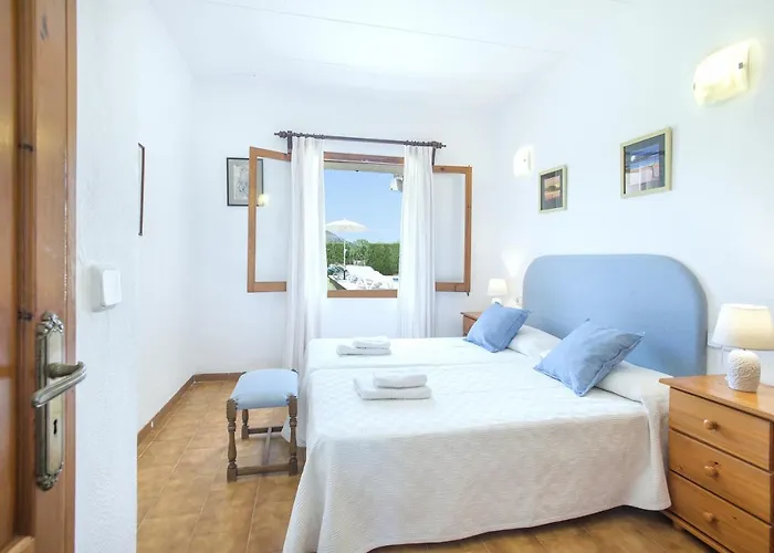 Owl Tofol - Ideal For Family And Friends