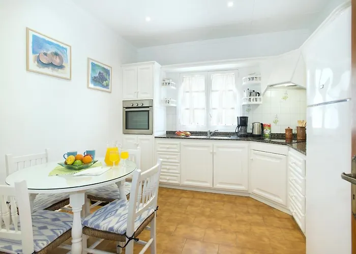 Owl Tofol - Ideal For Family And Friends *