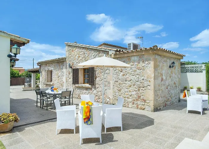 Owl Tofol - Ideal For Family And Friends