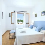 Owl Tofol - Ideal For Family And Friends