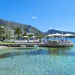 Owl Tofol - Ideal For Family And Friends