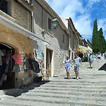 Owl Tofol - Ideal For Family And Friends