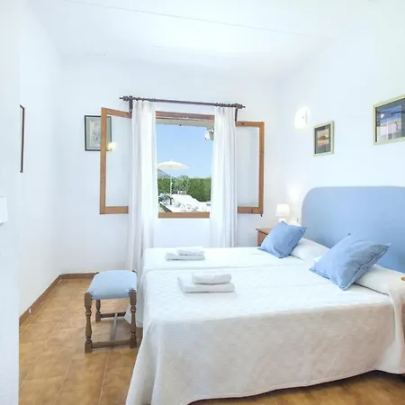 Owl Tofol - Ideal For Family And Friends