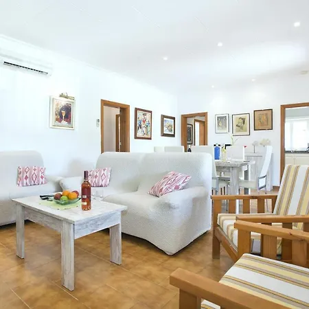 Owl Tofol - Ideal For Family And Friends