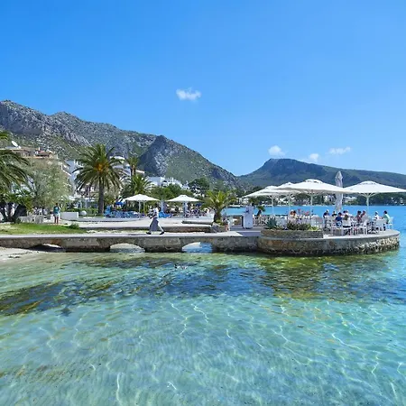 Owl Tofol - Ideal For Family And Friends