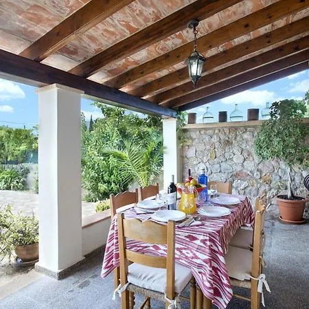 Owl Tofol - Ideal For Family And Friends *