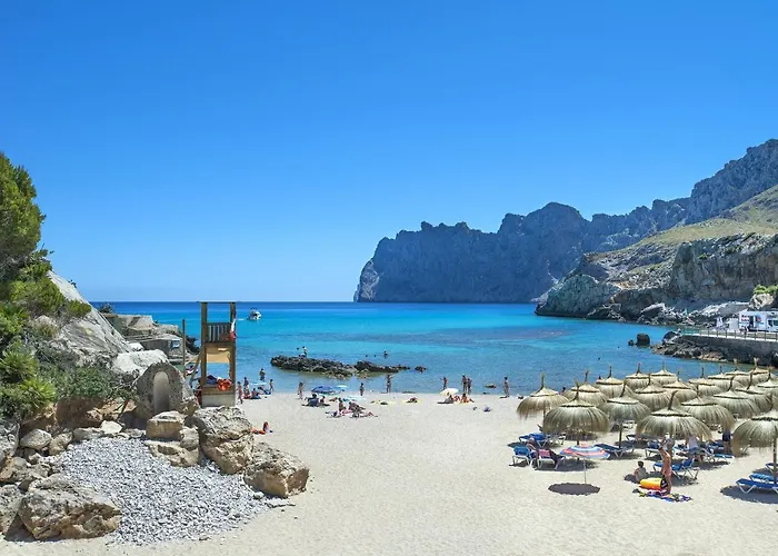 Owl Tofol - Ideal For Family And Friends Pollença