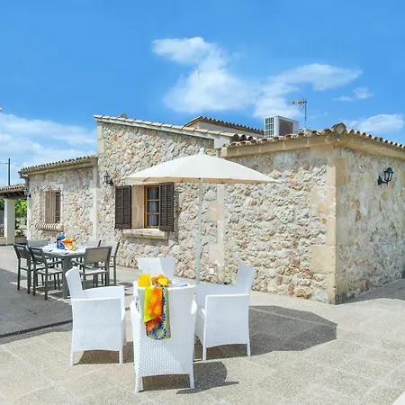 Owl Tofol - Ideal For Family And Friends