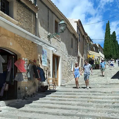 Owl Tofol - Ideal For Family And Friends