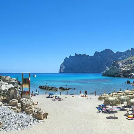 Owl Tofol - Ideal For Family And Friends Pollenca