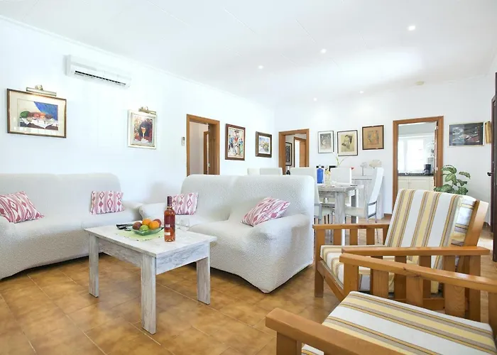 Owl Tofol - Ideal For Family And Friends