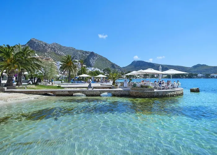 Owl Tofol - Ideal For Family And Friends