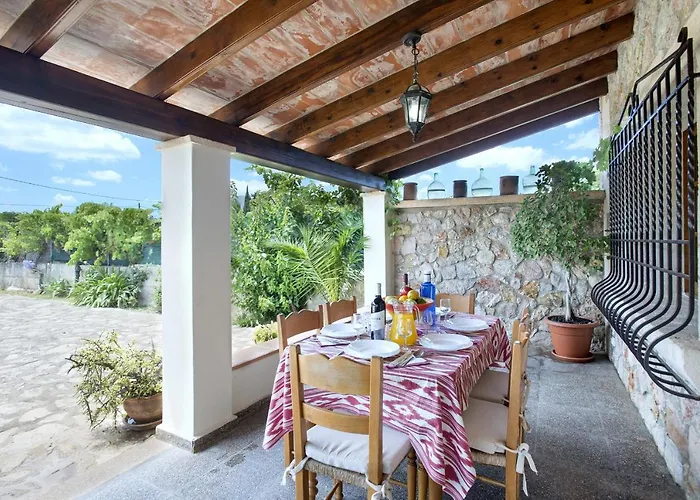 Owl Tofol - Ideal For Family And Friends *