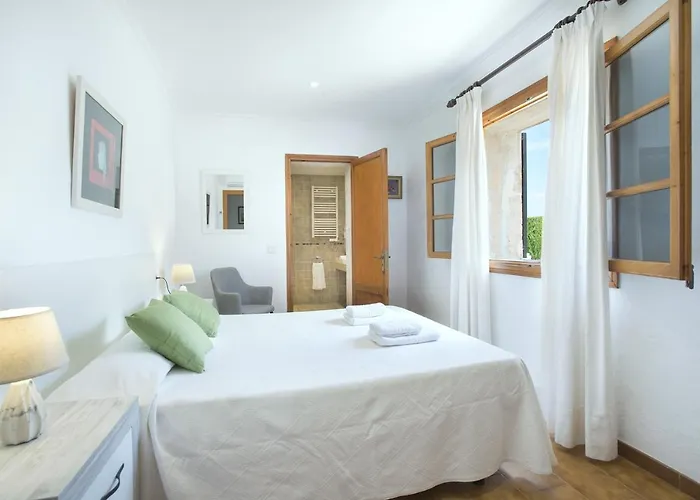 Owl Tofol - Ideal For Family And Friends *