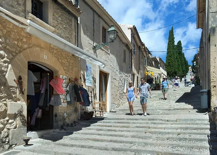 Owl Tofol - Ideal For Family And Friends